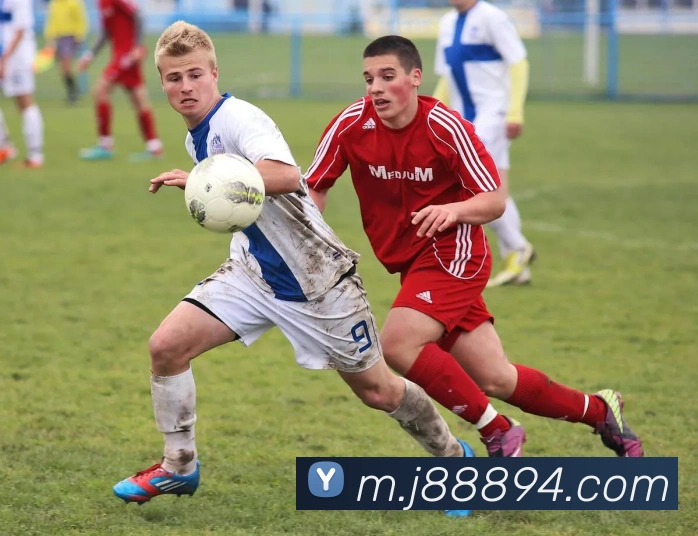8868服务体系